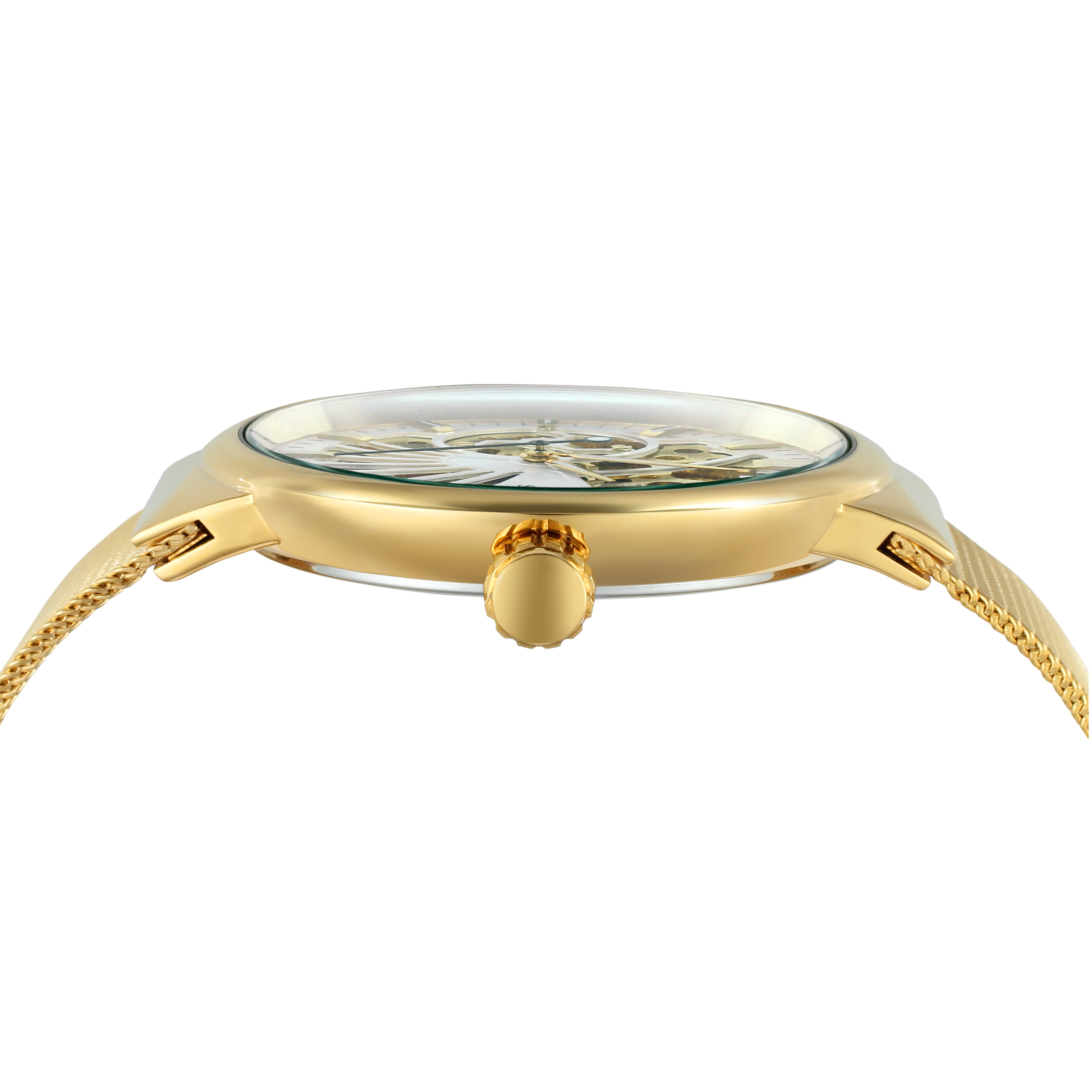 SKROX Luxury Brands Fashion Ma – Stainless Mesh Band Bewertung und Preis